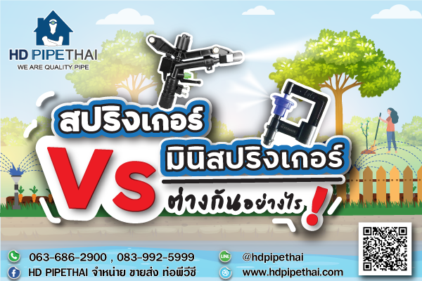 สปริงเกอร์VSมินิสปริงเกอร์ ต่างกันอย่างไร? สปริงเกอร์VSมินิสปริงเกอร์ ต่างกันอย่างไร?