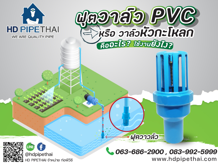 ฟุตวาล์ว-หรือ-วาล์วหัวกะโหลก-การใช้งาน การใช้งานฟุตวาล์ว