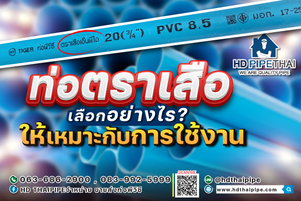 ท่อตราเสือ เลือกอย่างไร ท่อตราเสือ เลือกอย่างไร