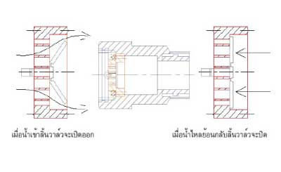 วาล์วกันน้ำย้อน