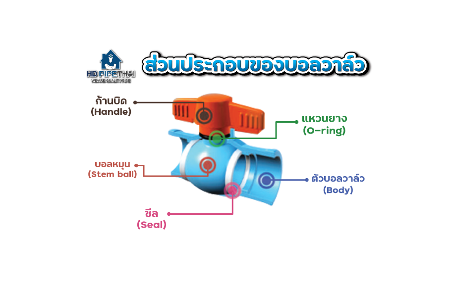 ส่วนประกอบ บอลวาล์ว ส่วนประกอบ บอลวาล์ว