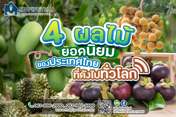 4 ผลไม้ยอดนิยม ของประเทศไทยที่ดังไปทั่วโลก 4 ผลไม้ยอดนิยม ของประเทศไทยที่ดังไปทั่วโลก