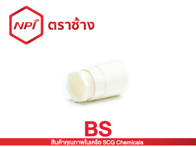 ข้อต่อเข้ากล่อง-ร้อยสาย BS (ขาว)