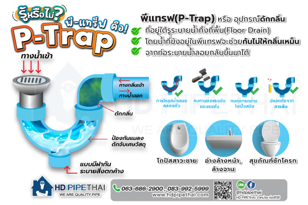 P-trap คืออะไร