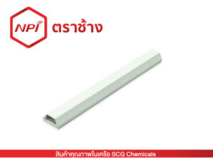 รางเก็บสายโทรศัพท์ (ขาว)
