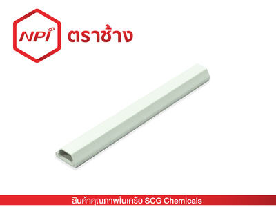 รางเก็บสายโทรศัพท์ (ขาว)
