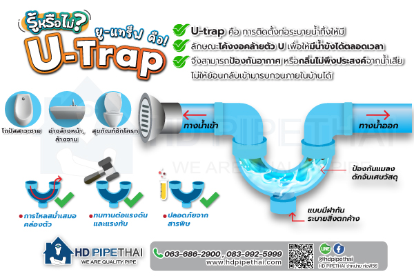 U trap คืออะไร