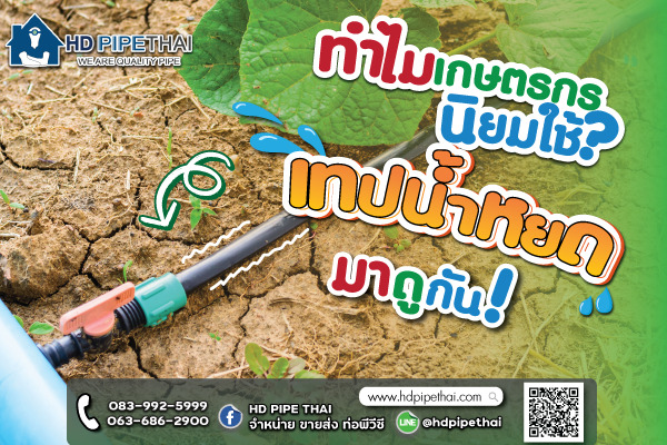 เทปน้ำหยด เทปน้ำหยด