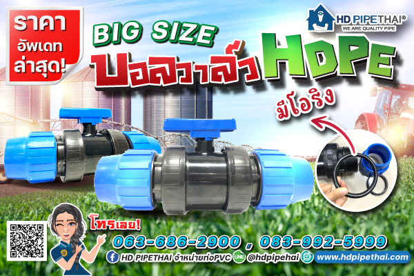 บอลวาล์วhdpe
