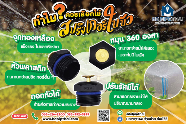 สปริงเกอร์ใบบัว สปริงเกอร์ใบบัว