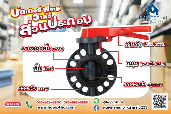 บัตเตอร์ฟลายวาลว์
