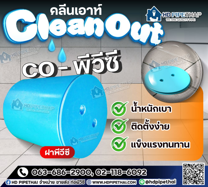 Cleanout
