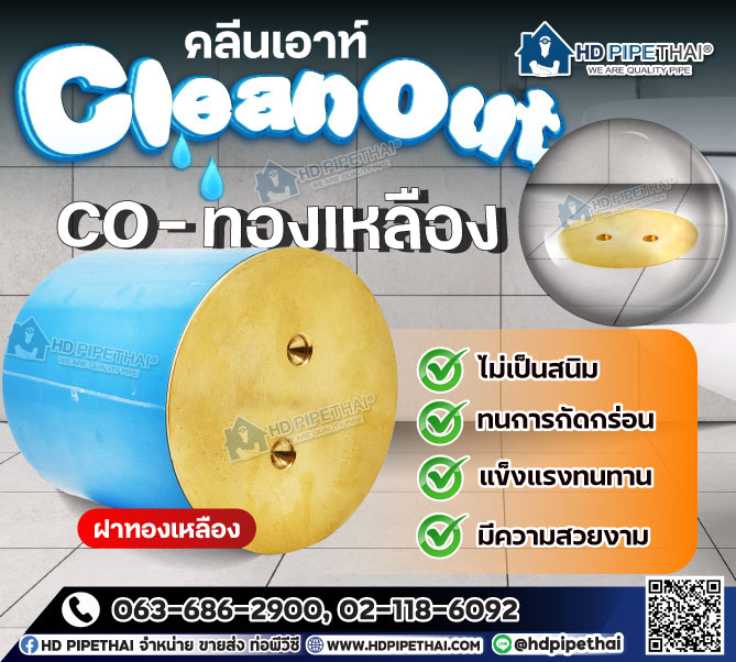 Cleanout