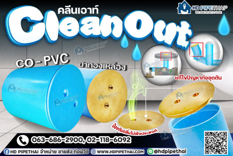 Cleanout